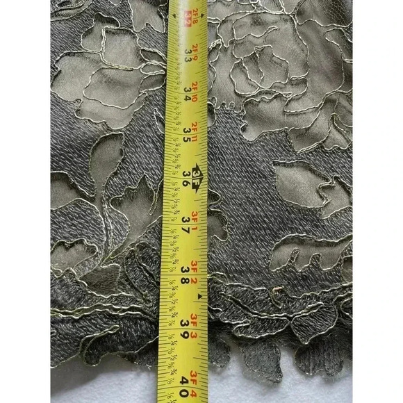 Tadashi Shoji Ilussion Yoke Lace Cocktail Dress Knee length size 6 - Picture 8 of 11